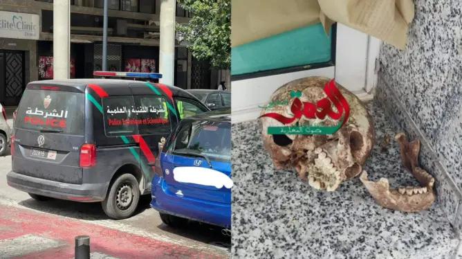 العثور على جمجة آدمية بوسط المدينة يستنفر أمن طنجة (صورة)