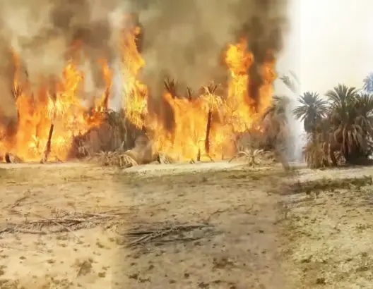 حريق مهول يلتهم مئات أشجار النخيل بواحة تغجيجت في كلميم