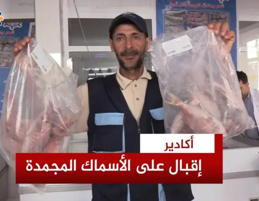 مبادرة “الحوت بثمن معقول” بأكادير