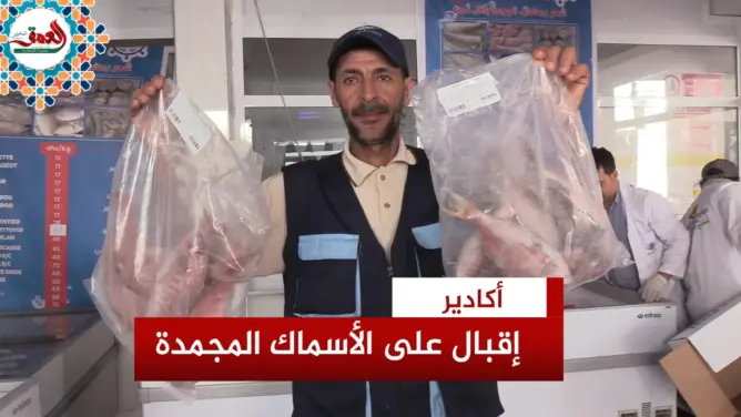 مبادرة “الحوت بثمن معقول” بأكادير
