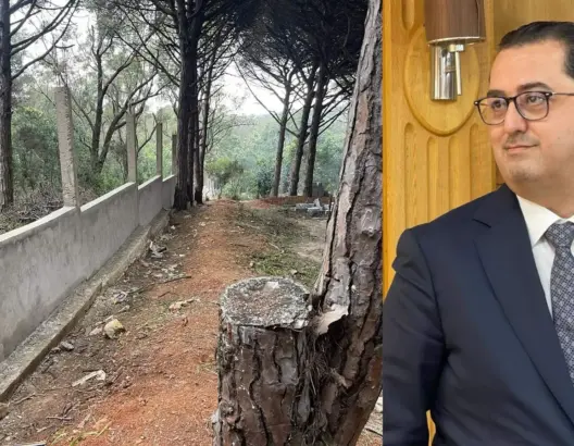 “الشباب الأخضر” تحمل الوالي التازي مسؤولية بناء “غير قانوني” بغابة الرميلات بطنجة (فيديو)