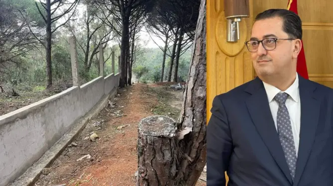 “الشباب الأخضر” تحمل الوالي التازي مسؤولية بناء “غير قانوني” بغابة الرميلات بطنجة (فيديو)
