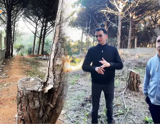 نشطاء بيئيون يحذرون سلطات طنجة من التساهل مع الزحف الإسمنتي على الغابات (فيديو)