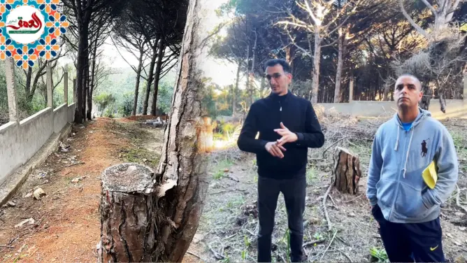 نشطاء بيئيون يحذرون سلطات طنجة من التساهل مع الزحف الإسمنتي على الغابات (فيديو)