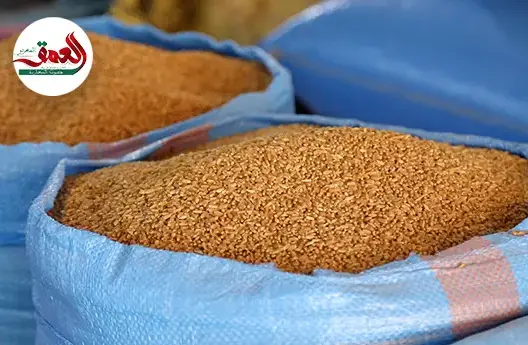 مغاربة يفضلون إخراج زكاة الفطر من الحبوب