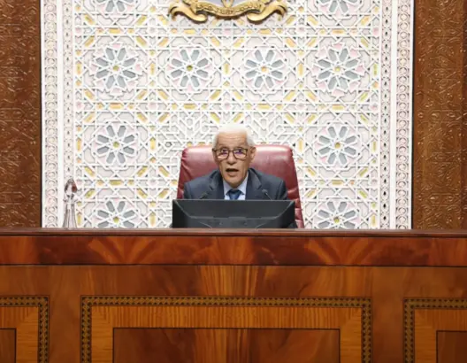 الطالبي: قرار مجلس الأمن التاريخي ثمرة حكمة الملك وترسيخ لسيادة المملكة على كامل ترابها