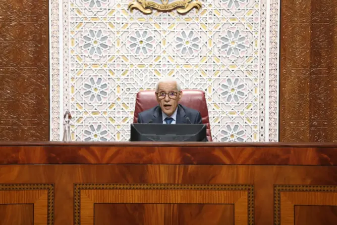 أدان بشدة الحرب على غزة.. الطالبي العلمي: مشاكل الهجرة واللجوء نتيجة حتمية للأزمات والحروب