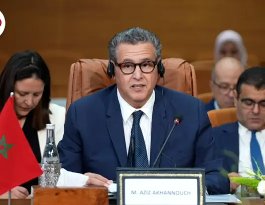 أخنوش: ننوه بدعم بلجيكا لمغربية الصحراء