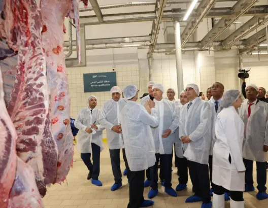 كلفت أكثر من ربع مليار درهم.. تدشين المجازر الجهوية للرباط سلا الصخيرات تمارة