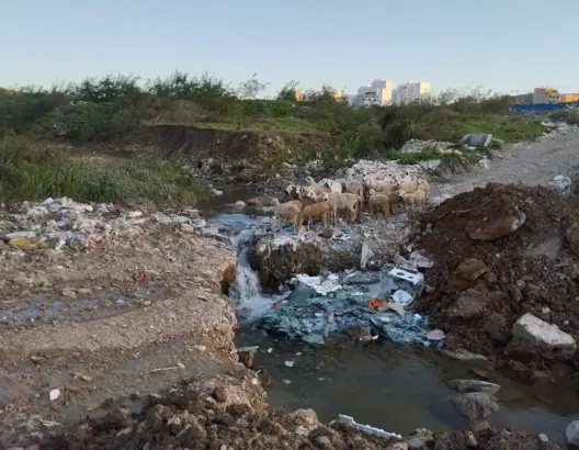 غابات طنجة الجميلة تتحول إلى مكبات للردمة ومخلفات البناء.. غابة السانية نموذجا