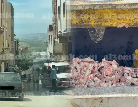 بعد تدخل السلطات.. رمي دجاج فاسد بحاوية أزبال يثير استغرابا بطنجة (صور)