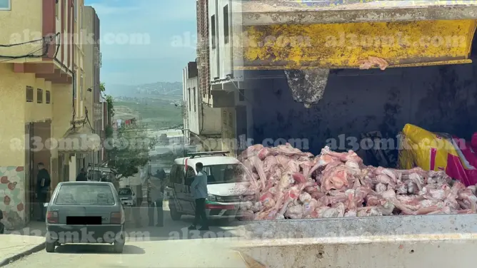 بعد تدخل السلطات.. رمي دجاج فاسد بحاوية أزبال يثير استغرابا بطنجة (صور)