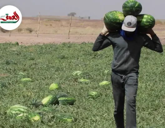 في ظل شح المياه.. “الدلاح” يخلق رواجا اقتصاديا بزاكورة