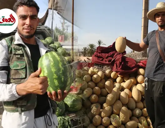 باعة متجولون يكشفون أثمنة "الدلاح" الزاݣوري و''السويهلة'' بمراكش ويؤكدون وجود الوفرة رغم ندرة المياه