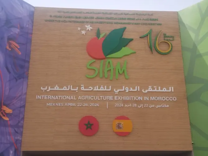 ولي العهد مولاي الحسن يفتتح معرض الفلاحة الدولي بمكناس وتوقعات باستقطاب مليون زائر
