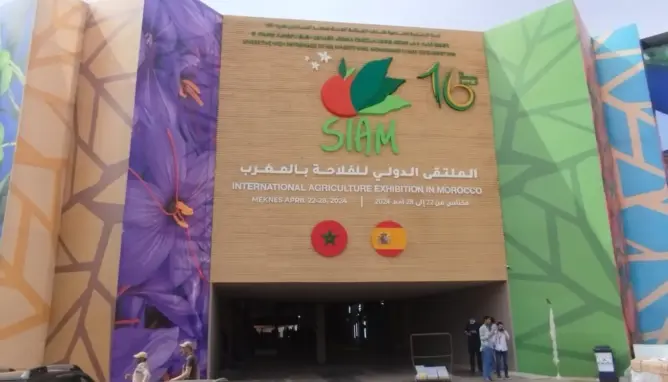 مندوب معرض الفلاحة يقيم دورة هذا العام ويعلق على تسويق منتجات “الكيف” (حوار)
