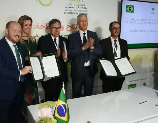 المغرب يوقع اتفاقية لتصدير الحوامض للبرازيل