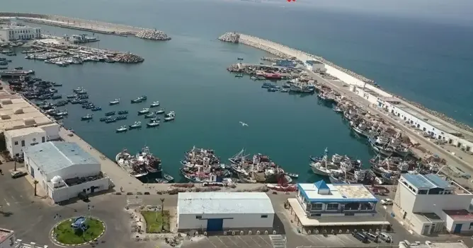 ميناء طنجة يترقب معالجة 9 ملايين حاوية ومسؤول يكشف توسيع المناطق الصناعية
