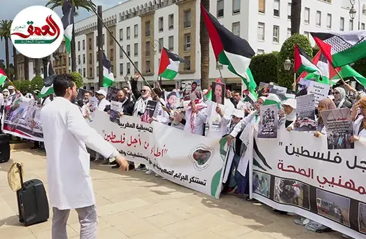 أبدوا رغبتهم في الذهاب لغزة.. الأطباء ينتفضون بالرباط تنديدا بالعدوان الإسرائيلي (فيديو)