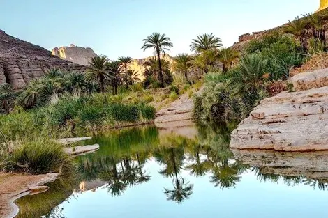 مستخدمو برنامج واحات الجنوب يستنكرون وضعيتهم “المزرية” ويطالبون بترسيمهم
