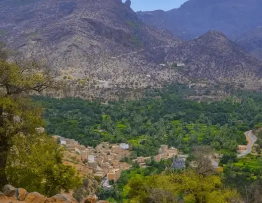 إحداث منتزه وطني على أراضي “إداوكنضيف” يجر على وزير الفلاحة غضب 72 دوارا