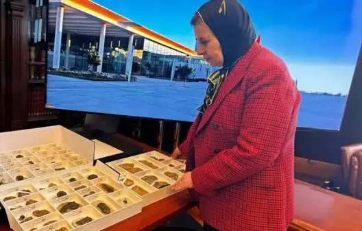 تاريخها يعود لـ400 مليون سنة.. الشيلي تعيد للمغرب 117 قطعة أحفورية مهربة