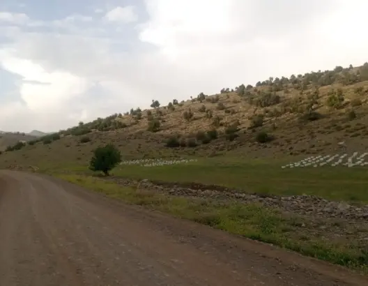 منحل يثير قلق ساكنة بأزيلال