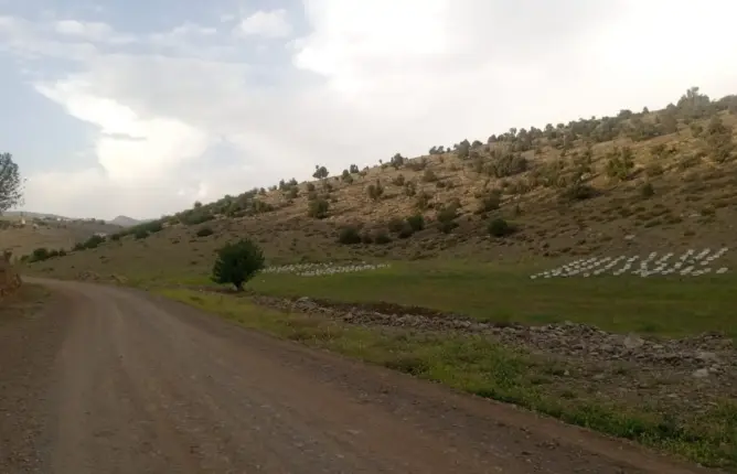 منحل يثير قلق ساكنة بأزيلال