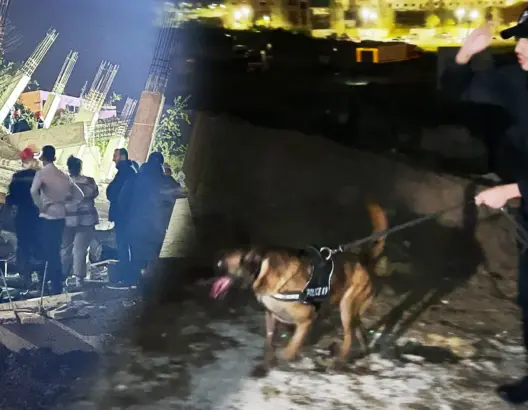 سلطات طنجة تستعين بالكلاب للبحث عن ضحايا محتملين في انهيار عمارة