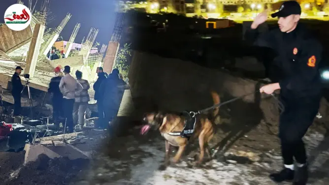 سلطات طنجة تستعين بالكلاب للبحث عن ضحايا محتملين في انهيار عمارة