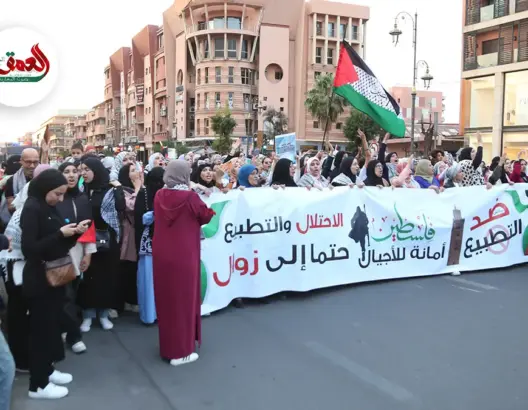مغاربة يستنكرون مج.ازر إسرائيل ويعلنون استعدادهم للذهاب إلى غزة