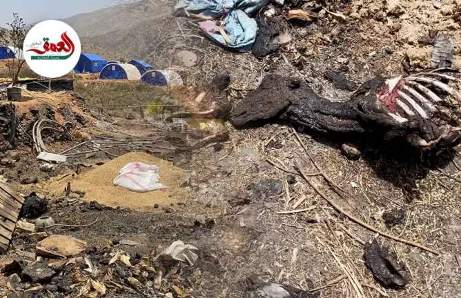 صرخات من الحوز .. حريق يندلع بخيام ضحايا الزلزال يلتهم بهائم ومبالغ مالية مهمة