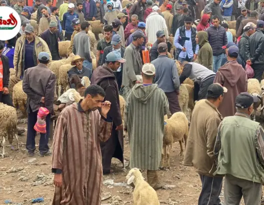 مواطنون باثنين شتوكة يشتكون غلاء الأضاحي