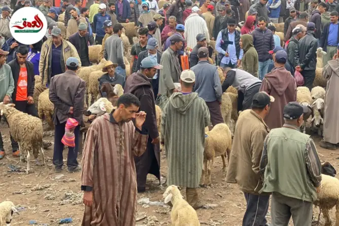 مواطنون باثنين شتوكة يشتكون غلاء الأضاحي