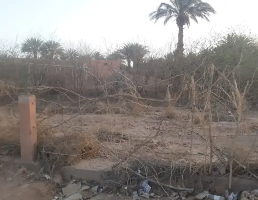 مركز البحث الزراعي بزاكورة.. متنفس بيئي وفضاء إيكولوجي يواجه الإهمال
