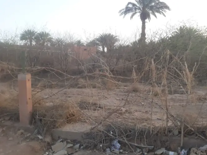 مركز البحث الزراعي بزاكورة.. متنفس بيئي وفضاء إيكولوجي يواجه الإهمال