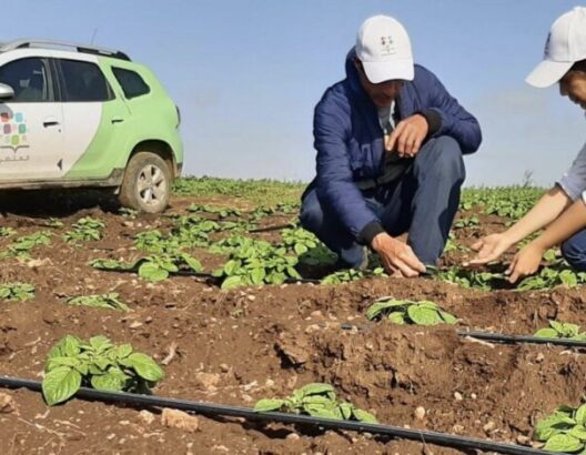 مبادرة "المثمر" تحتفل بـ 5 سنوات على انطلاقها