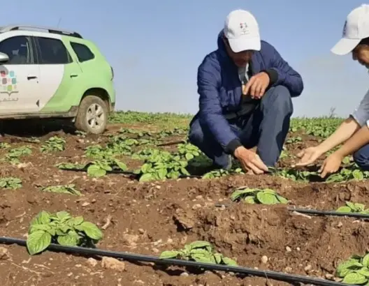 مبادرة "المثمر" تحتفل بـ 5 سنوات على انطلاقها