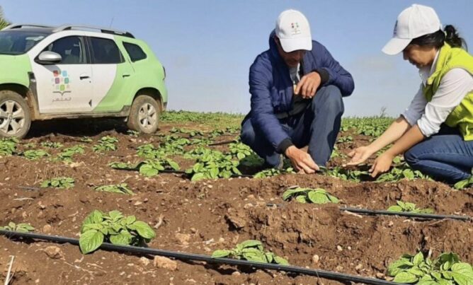 مبادرة "المثمر" تحتفل بـ 5 سنوات على انطلاقها