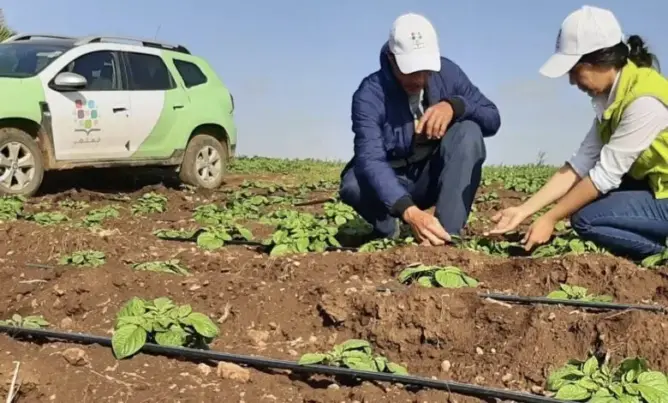 مبادرة "المثمر" تحتفل بـ 5 سنوات على انطلاقها
