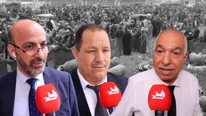 غلاء الأضاحي يثير استياء منتخبي البيضاء ومطالب بدعم المواطن بدل المستوردين (فيديو)