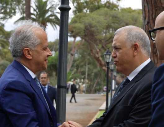 أجرى عبد الوافي لفتيت، وزير الداخلية، اليوم الثلاثاء، مباحثات مع نظيره الإيطالي ماتيو بيانتيدوزي، وذلك بحضور مسؤولين من وزارتي الداخلية في البلدين.