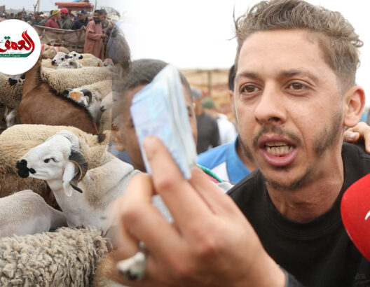 جدال بسوق الأربعاء بمراكش.. كسابة: العلف غالي والثمن مرتفع.. مواطنين: ما لقينا ما نشريو رغم الدعم