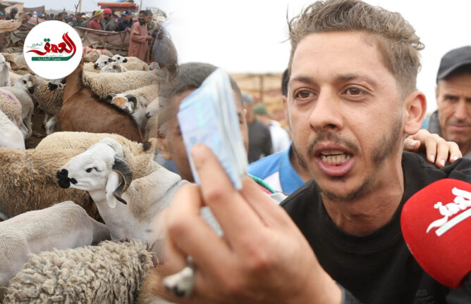 جدال بسوق الأربعاء بمراكش.. كسابة: العلف غالي والثمن مرتفع.. مواطنين: ما لقينا ما نشريو رغم الدعم