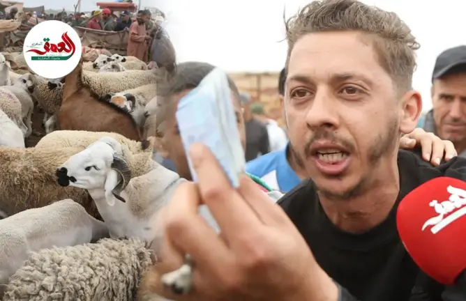 جدال بسوق الأربعاء بمراكش.. كسابة: العلف غالي والثمن مرتفع.. مواطنين: ما لقينا ما نشريو رغم الدعم
