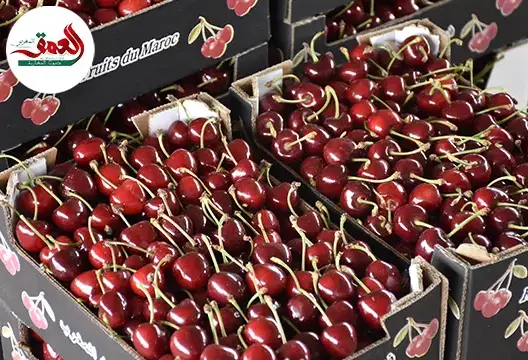 “العمق” تتقصى أسباب التهاب أسعار حب الملوك بإيموزار