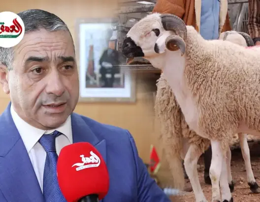 نصائح “أونسا” لشراء وذبح وتخزين الأضحية