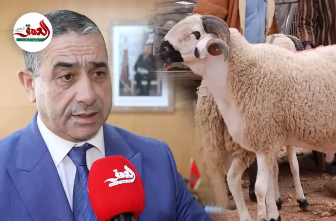 نصائح “أونسا” لشراء وذبح وتخزين الأضحية