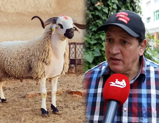 عبد الخالق فهيد: أثمنة الأضاحي خيالية وأجواء العيد اختلفت عن السابق