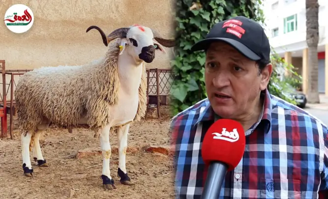 عبد الخالق فهيد: أثمنة الأضاحي خيالية وأجواء العيد اختلفت عن السابق